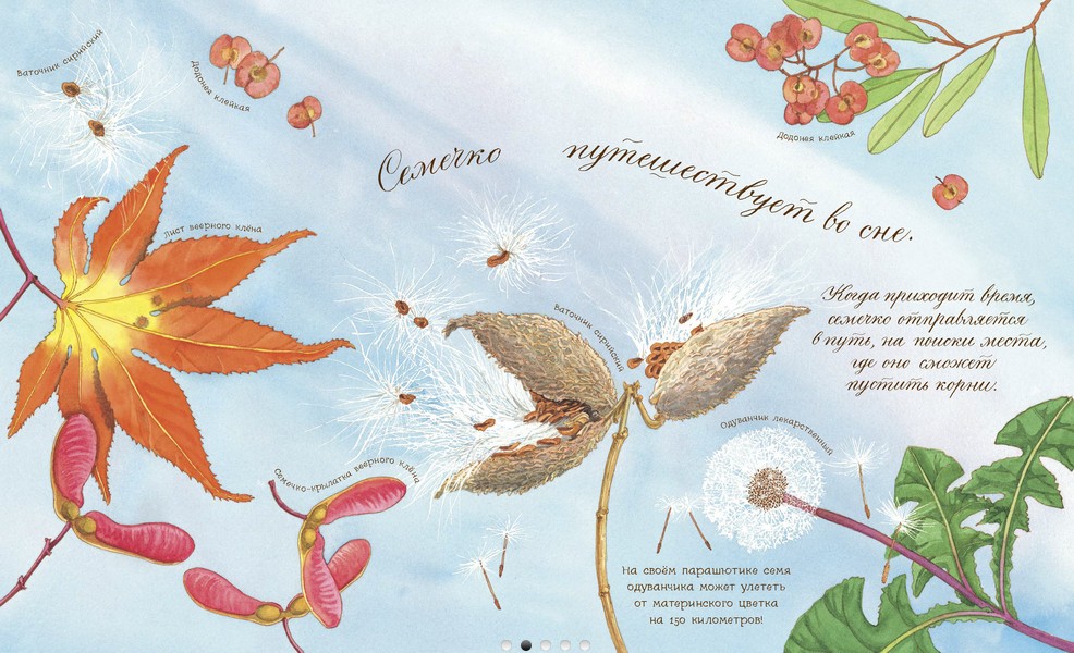 "What a dream seed": botanika dla najmniejszych