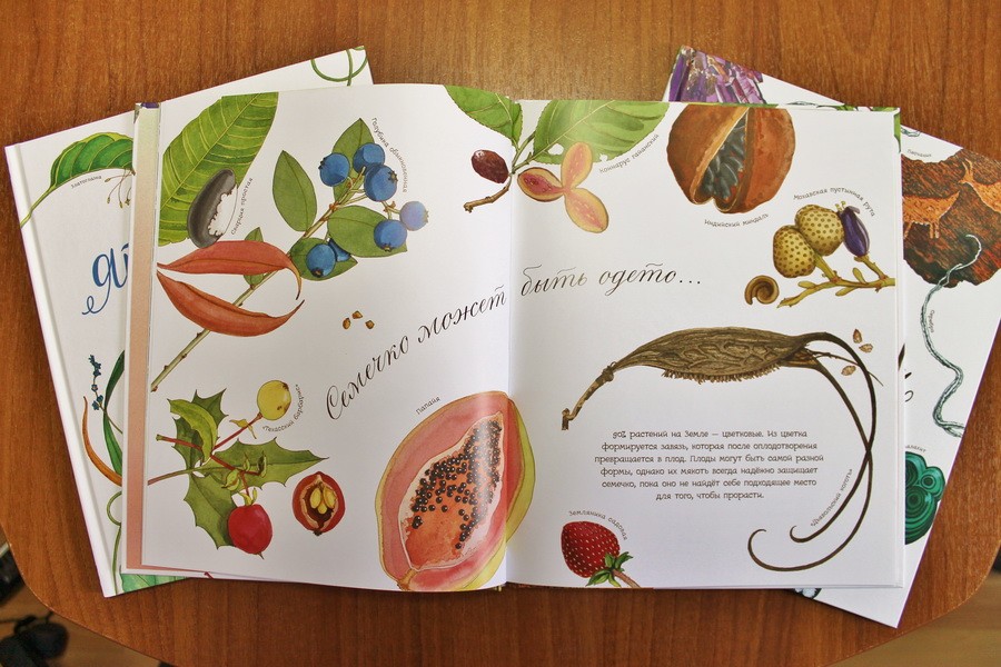 "What a dream seed": botanika dla najmniejszych
