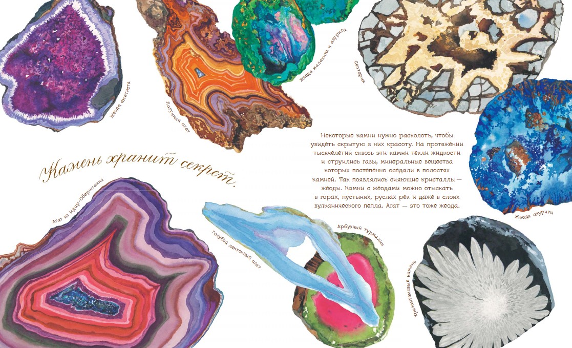 "Kamień ma własną historię": pierwsza kolekcja minerałów