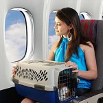 Transport zwierząt w samolocie