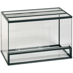 Terrarium własnymi rękami Terrarium własnymi rękami