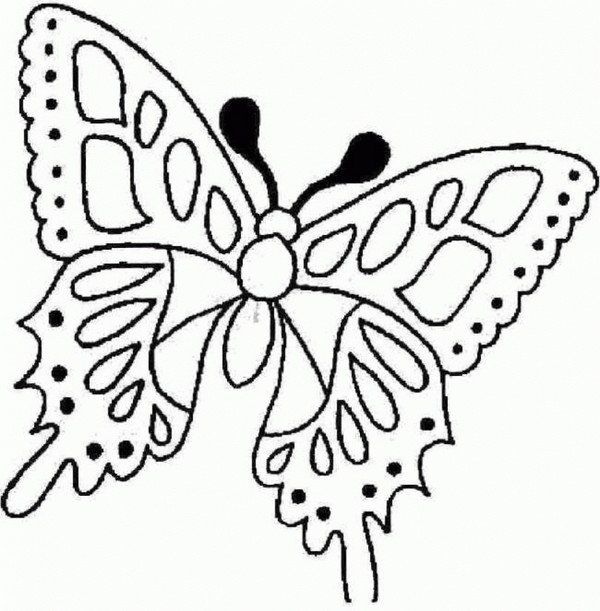 Robimy motyl z papieru rękami Robimy motyl z papieru rękami