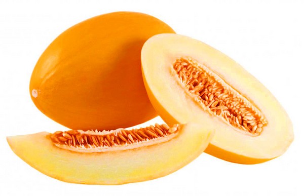 Sadzenie i pielęgnacja melonów w otwartym terenie w środkowej strefie Rosji