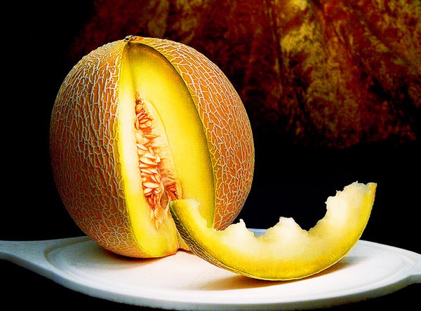 Sadzenie i pielęgnacja melonów w otwartym terenie w środkowej strefie Rosji