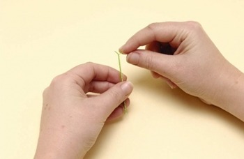 Quilling kwiatów z papieru dla początkujących