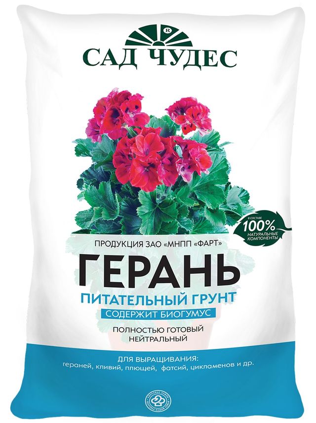 Dbaj o pelargonie