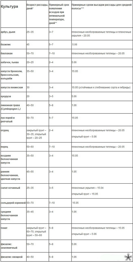 Kiedy sadzić sadzonki w otwartym terenie?