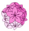 Papier Kusudama Papier Kusudama