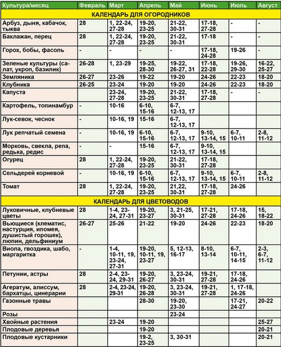 Kalendarz księżycowy ogrodniczego ogrodnika w sierpniu 2015 r