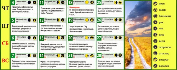 Rolnik kalendarza księżycowego w sierpniu 2016 r. Dla regionu moskiewskiego, środkowej strefy Rosji, Uralu, Syberii, północnego zachodu, Białorusi i Ukrainy Rolnik kalendarza księżycowego w sierpniu 2016 r. Dla regionu moskiewskiego, środkowej strefy Rosji, Uralu, Syberii, północnego zachodu, Białorusi i Ukrainy