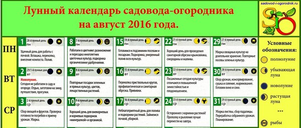 Rolnik kalendarza księżycowego w sierpniu 2016 r. Dla regionu moskiewskiego, środkowej strefy Rosji, Uralu, Syberii, północnego zachodu, Białorusi i Ukrainy Rolnik kalendarza księżycowego w sierpniu 2016 r. Dla regionu moskiewskiego, środkowej strefy Rosji, Uralu, Syberii, północnego zachodu, Białorusi i Ukrainy