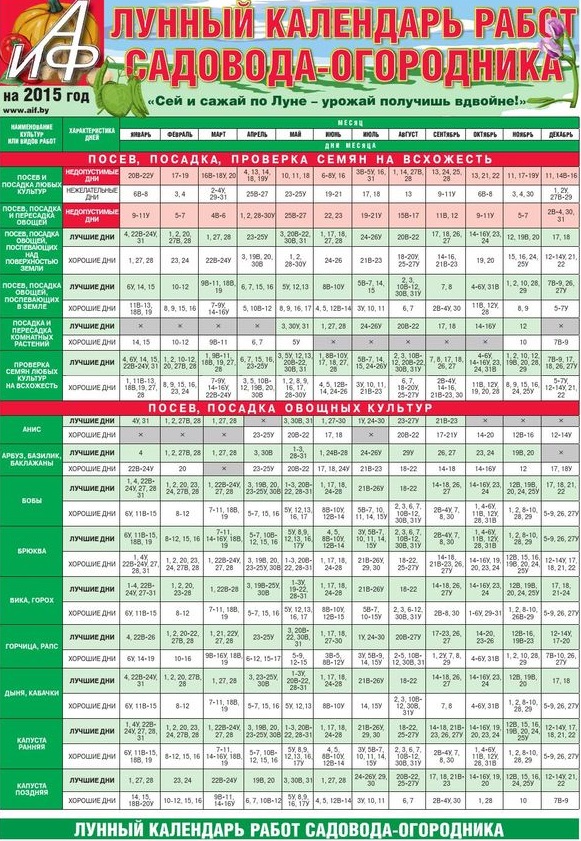 Kalendarz ogrodnika na lipiec 2015
