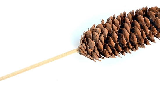 Rzemiosło wykonane z naturalnego materiału: mini-drewno z własnymi rękami