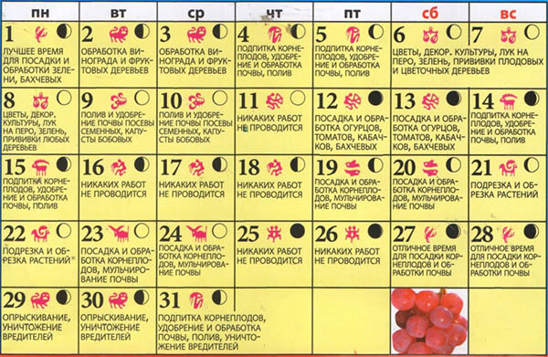 Kalendarz nasion księżycowych na maj 2017