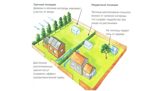 Szklarnia z ram okiennych własnymi rękami - instrukcje krok po kroku ze zdjęciami i filmami