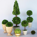 Dbanie o topiary Dbanie o topiary