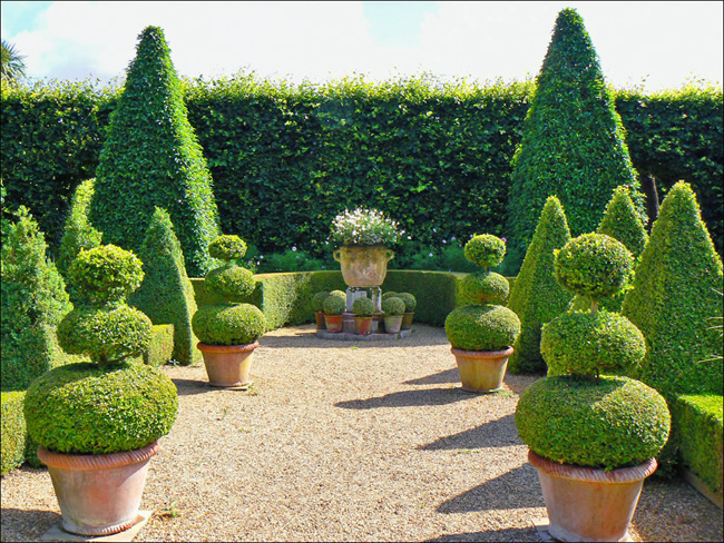 Dbaj o topiary w pojemnikach