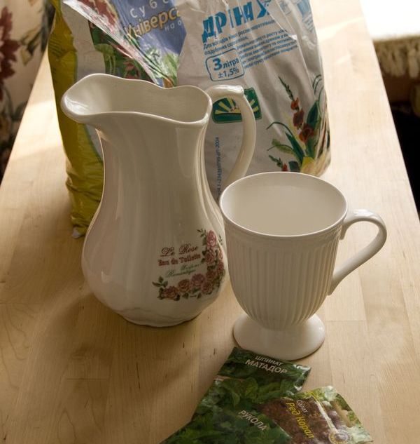 Uprawa arugula w warunkach domowych Uprawa arugula w warunkach domowych
