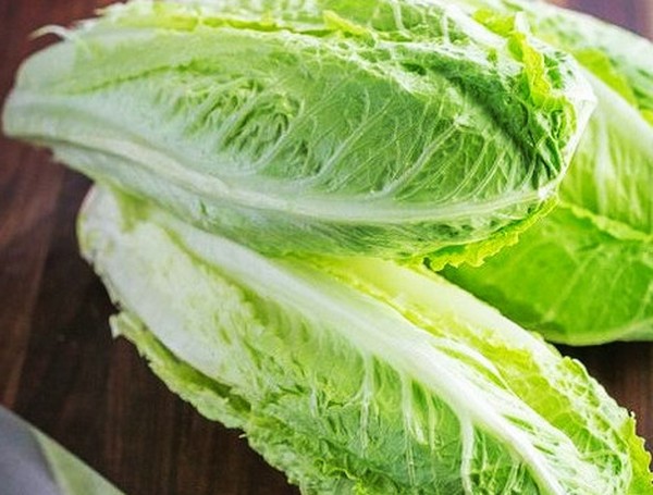 Uprawa sałaty w teorii i praktyce, przydatne porady i zalecenia
