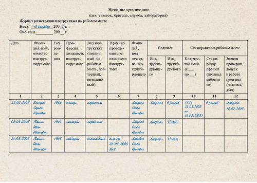 Metodyczne instrukcje i zalecenia dotyczące wypełniania dziennika odprawy w miejscu pracy