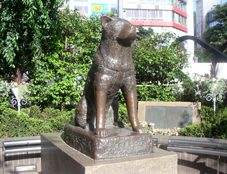 Pomnik Hachiko Pomnik Hachiko