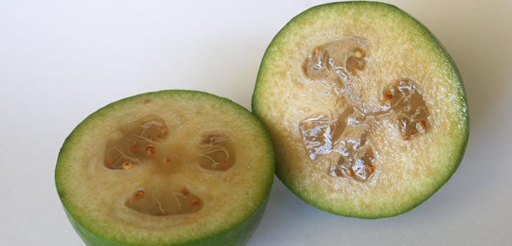Feijoa - użyteczne właściwości, korzyści i szkody feijoa