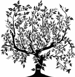 Genealogia, historia rodziny. Lokalne spisy ludności