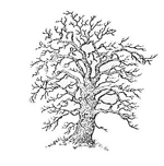 Genealogia, historia rodziny. Opowieści Revizsky'ego