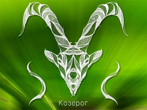 rysunek dla kobiet ibex