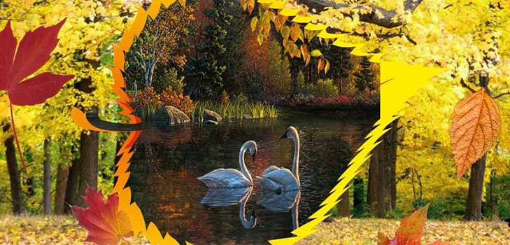 Scenariusz Jesień Piłka w szkole dla uczniów szkół średnich i klas 5-7. Stengazeta i taniec w Autumn Ball