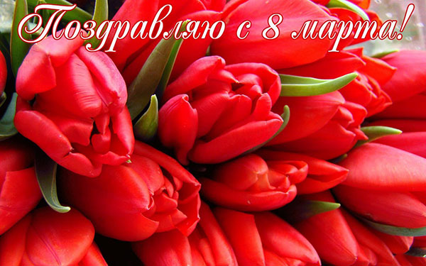 Gratuluję 8 marca