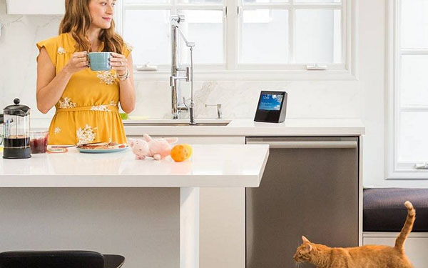 Inteligentna akustyka domu: system Amazon Echo Show