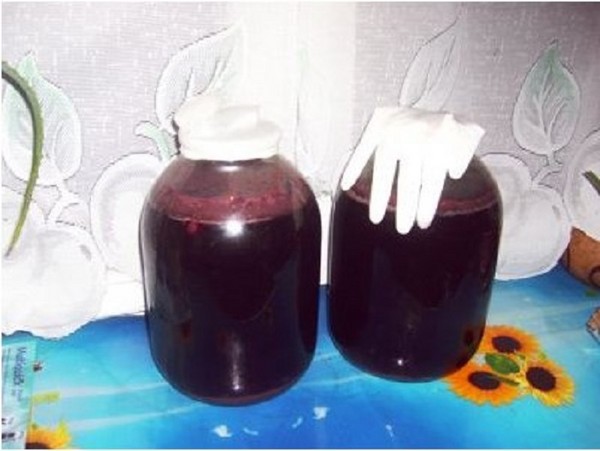 Wino, wiśnia, prosty przepis z wódką, bez drożdży. Jak zrobić wino wiśniowe w domu z rękawiczką