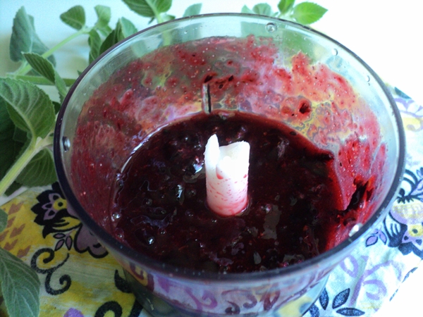 Jak zamrozić czarną porzeczkę w postaci sorbetu
