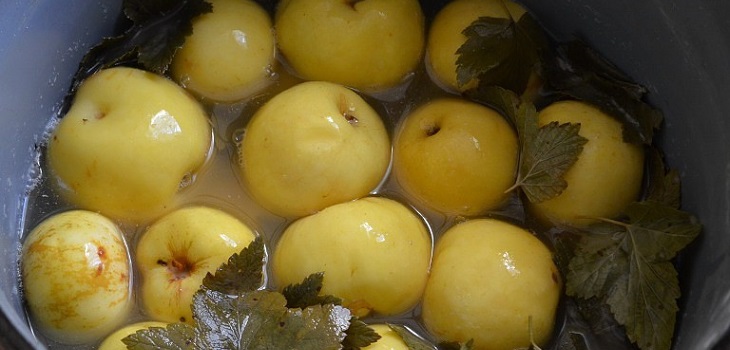 Przepis na mokre jabłka