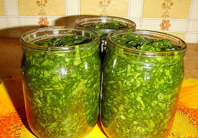 Jak zwijać szczaw na zimę solą