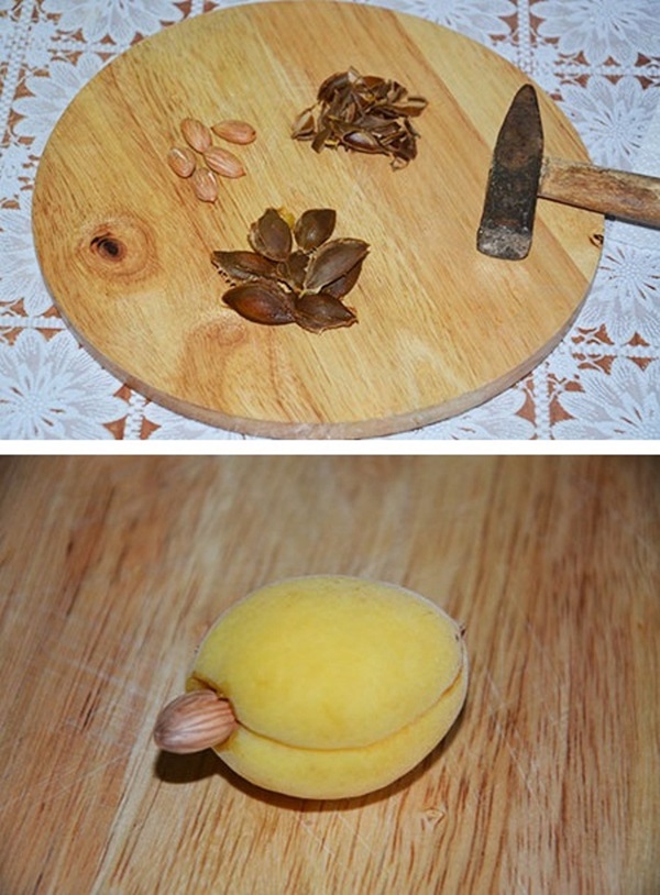 Dżem morelowy - królewski przepis