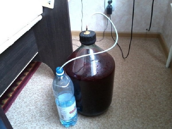 Wino z porzeczek w domu - czarny, biały, czerwony, bez drożdży, a wraz z nimi. Proste i tradycyjne przepisy na domowe wino w kolorze porzeczkowym