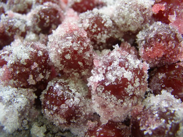Cherry in winter - receptury - dżem z nasion i bez nasion, pięciominutowych odprawach, dżemy, galaretki bez żelatyny, kompot wiśniowy