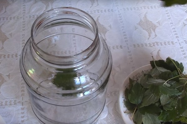 Jabłka na zimę w bankach - kęsy i przepisy - namoczone i kliny, kompot, dżem, batonik. Jak zachować jabłka w zimie w domu