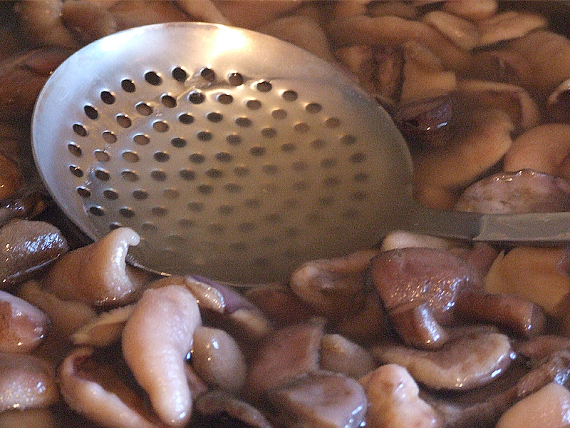 Zaolejona kęs