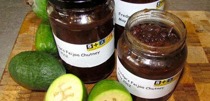 Batoniki Feijoa w zimie, najlepsze przepisy kulinarne ze zdjęciami