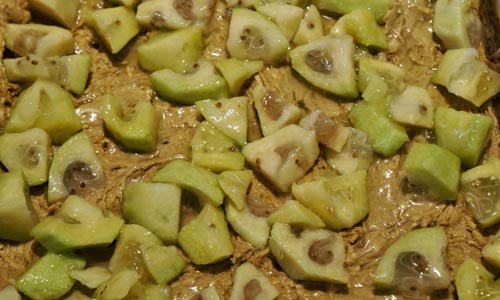 Batoniki Feijoa w zimie, najlepsze przepisy kulinarne ze zdjęciami