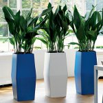 Fytodesign wewnętrzny Fytodesign wewnętrzny