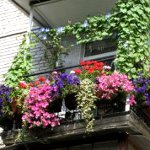 Jak ozdobić balkon Jak ozdobić balkon