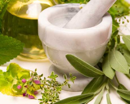 Astragalus: właściwości lecznicze, zdjęcia, zastosowanie