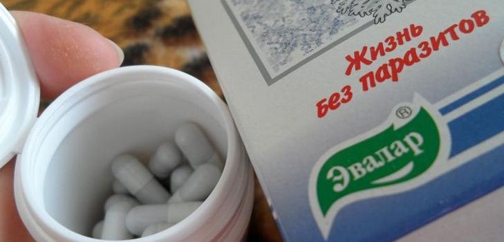 Lekiem przeciwpasożytniczym jest Troychchatka Evalar. Skład. Instrukcje. Recenzje